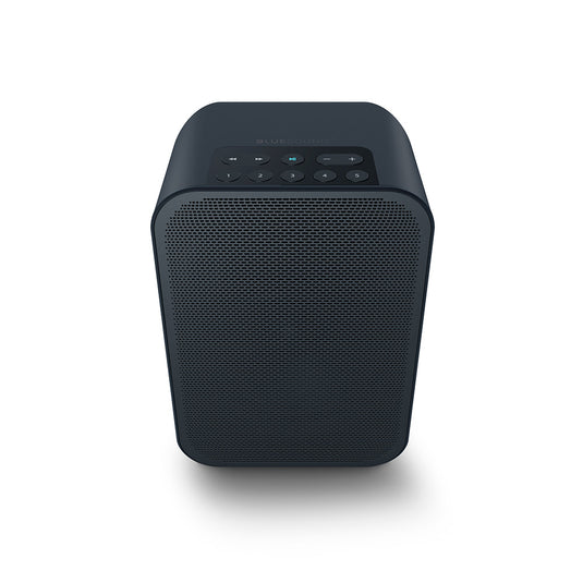 Bluesound Portable Wireless Multi-Room Music Streaming Speaker - Pulse Flex 2i Black